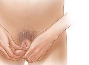 Ejercicios de jeling para aumentar el pene